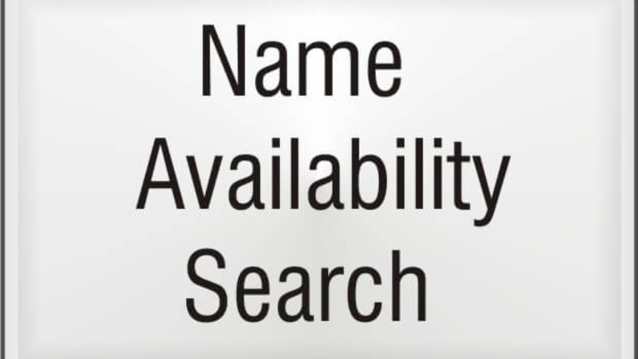 Company Name Availability Search