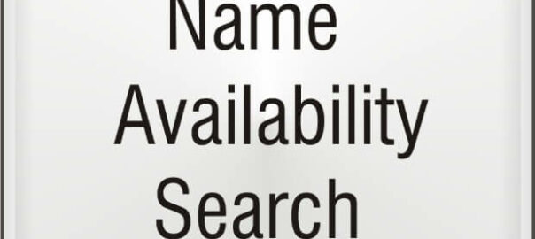 Company Name Availability Search