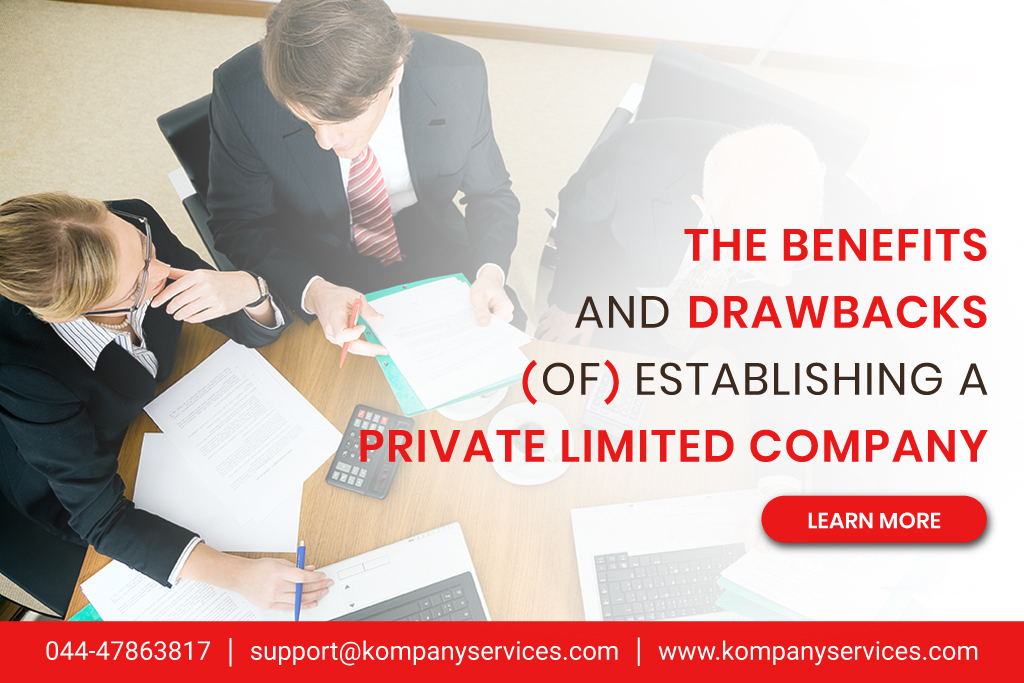 The Benefits Drawbacks of Establishing a Private Limited Company2
