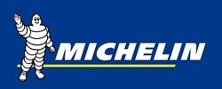 michelin logo 250100